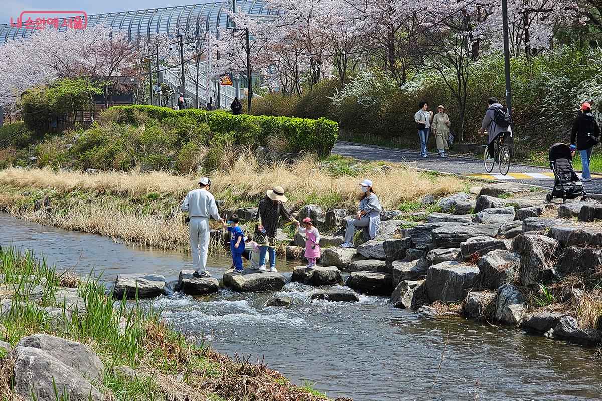 벚꽃 구경을 나온 가족 단위의 시민들은 흩날리는 벚꽃을 맞으며 즐거운 추억을 남겼다. ©이혜숙