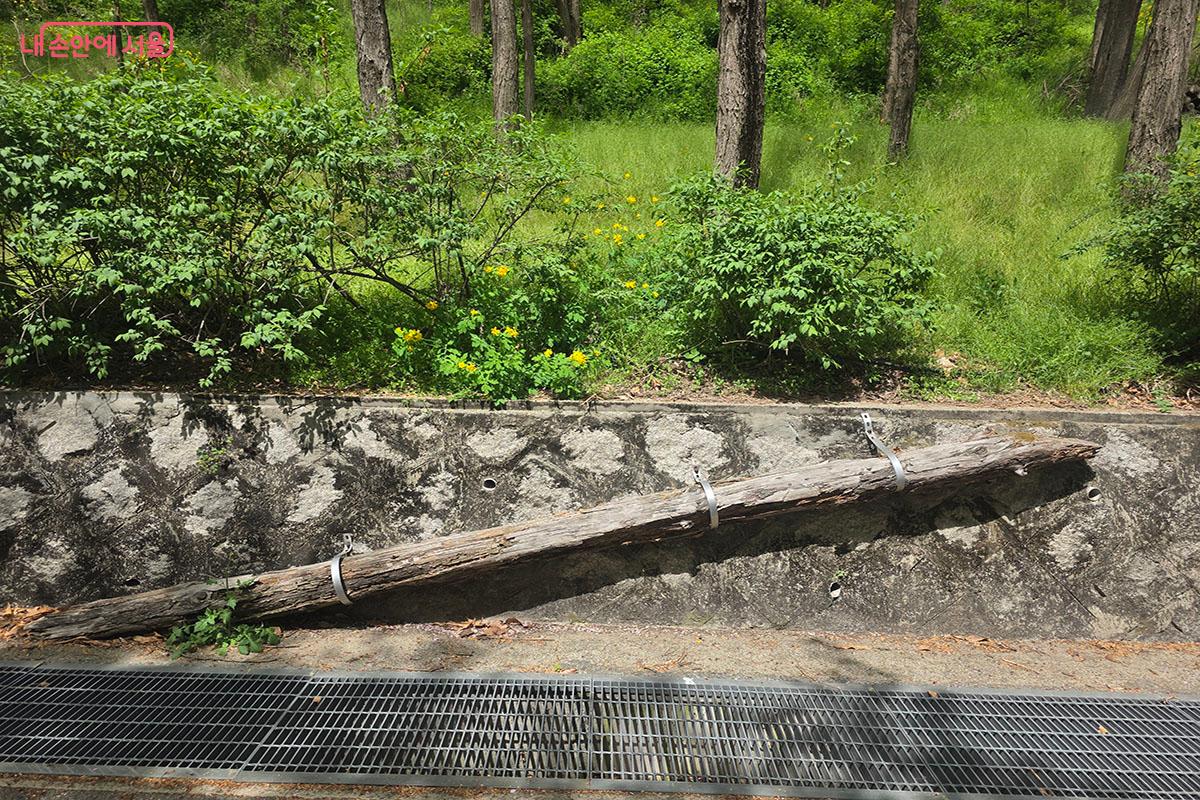 작은 동물들의 이동을 돕는 통나무 경사로 &copy;이정민