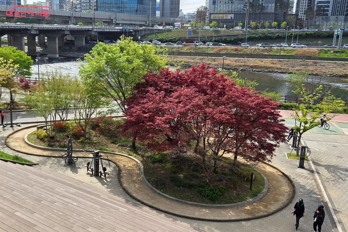 맨발 걷기를 할 수 있는 흙길도 조성되어 있다. &copy;김미선