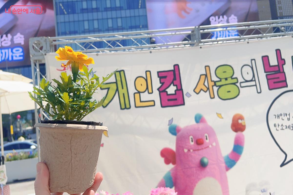 노란 팬지꽃이 핀 화분을 선택했다. &copy;백진숙