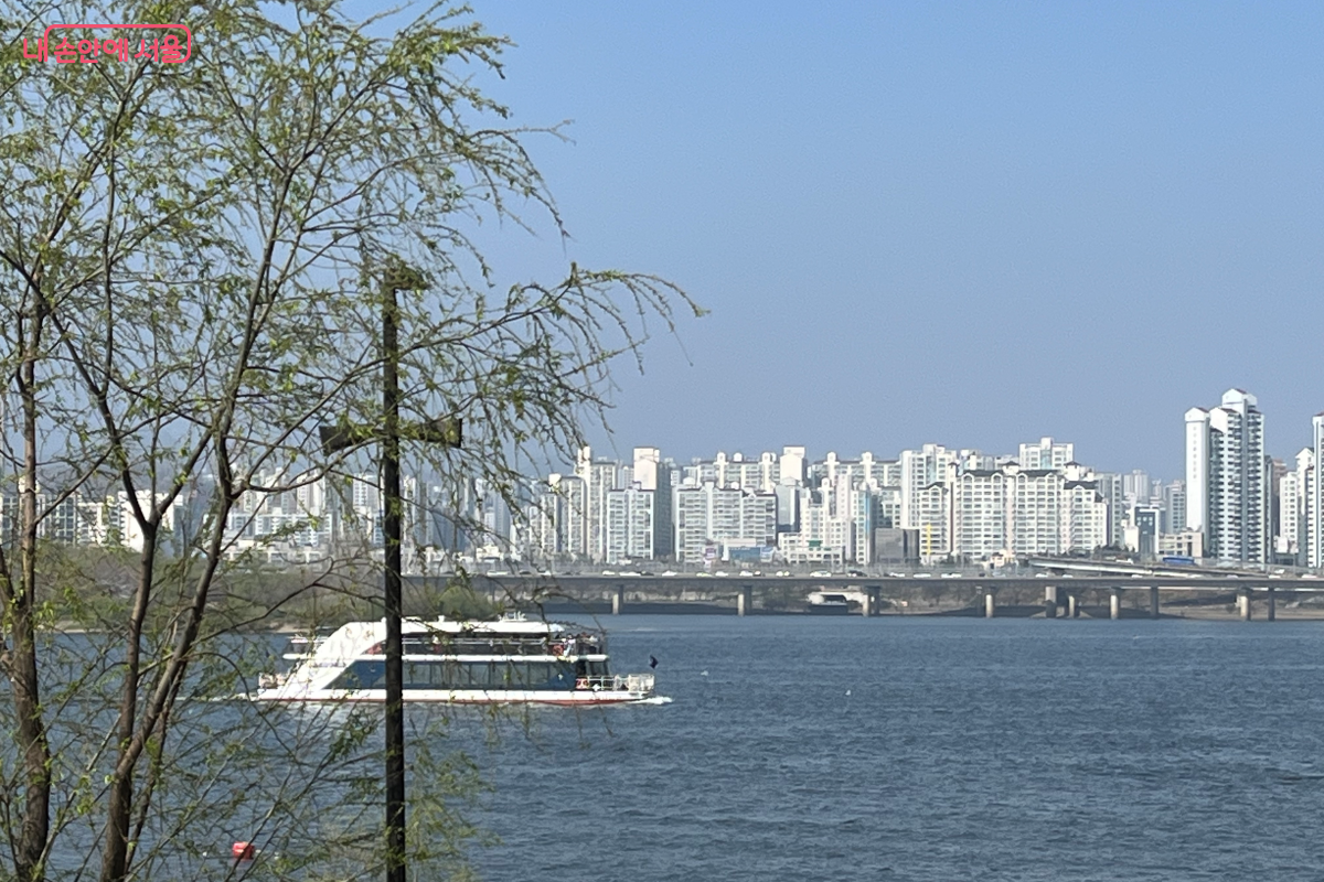 책을 읽다 잠시 시선을 돌려 한강을 바라보는 &lsquo;물멍&rsquo;의 순간 &copy;김연희