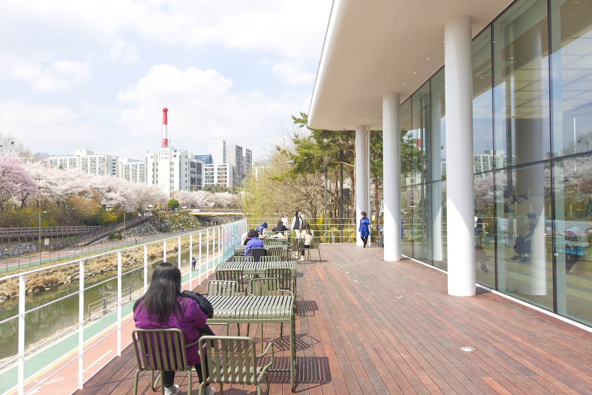 벚꽃과 함께 구경하니 금상첨화! 우이천 '노원우이마루' 개관