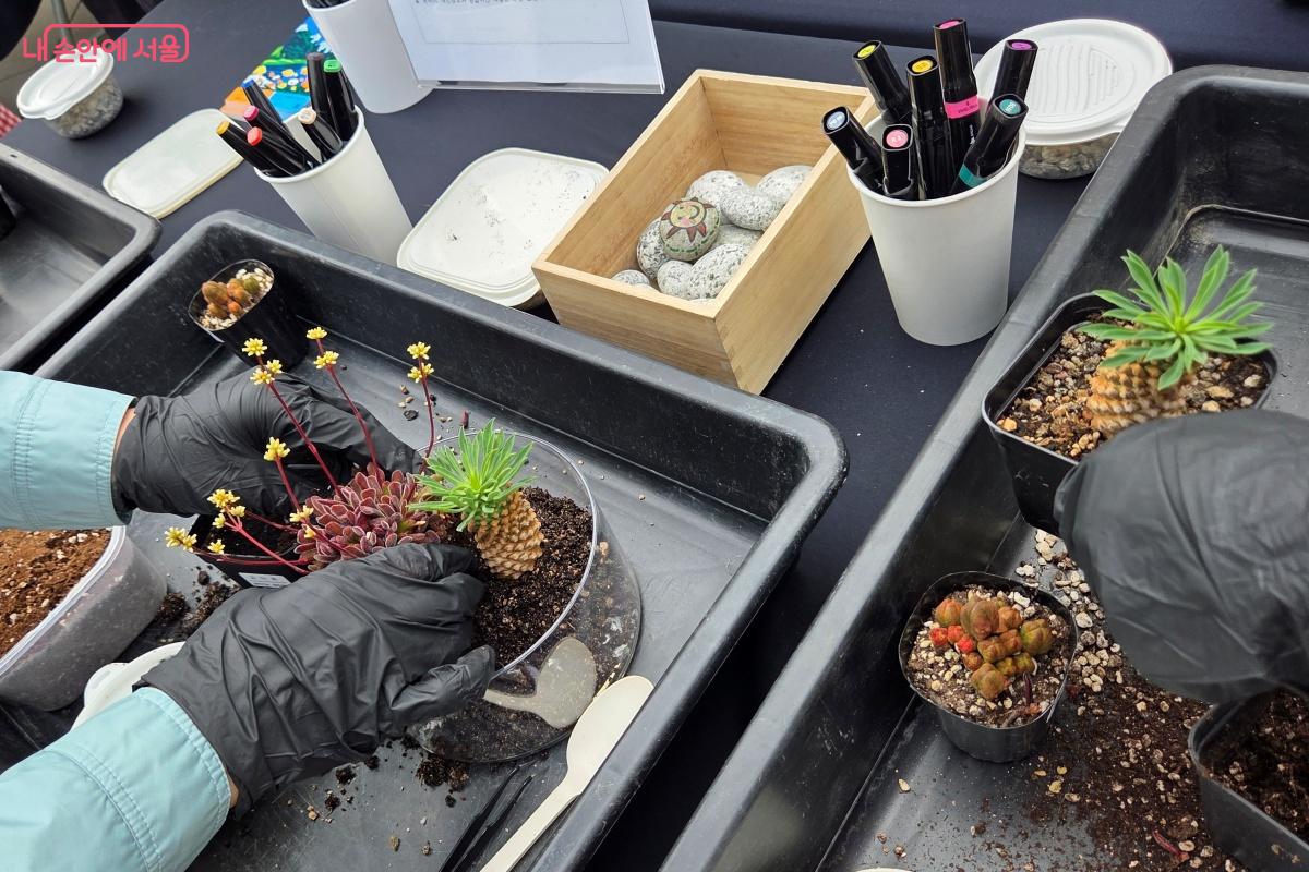 정원에서 흙을 만지며 지친 마음에 따스한 쉼표를 찍어본다. &copy;김미선