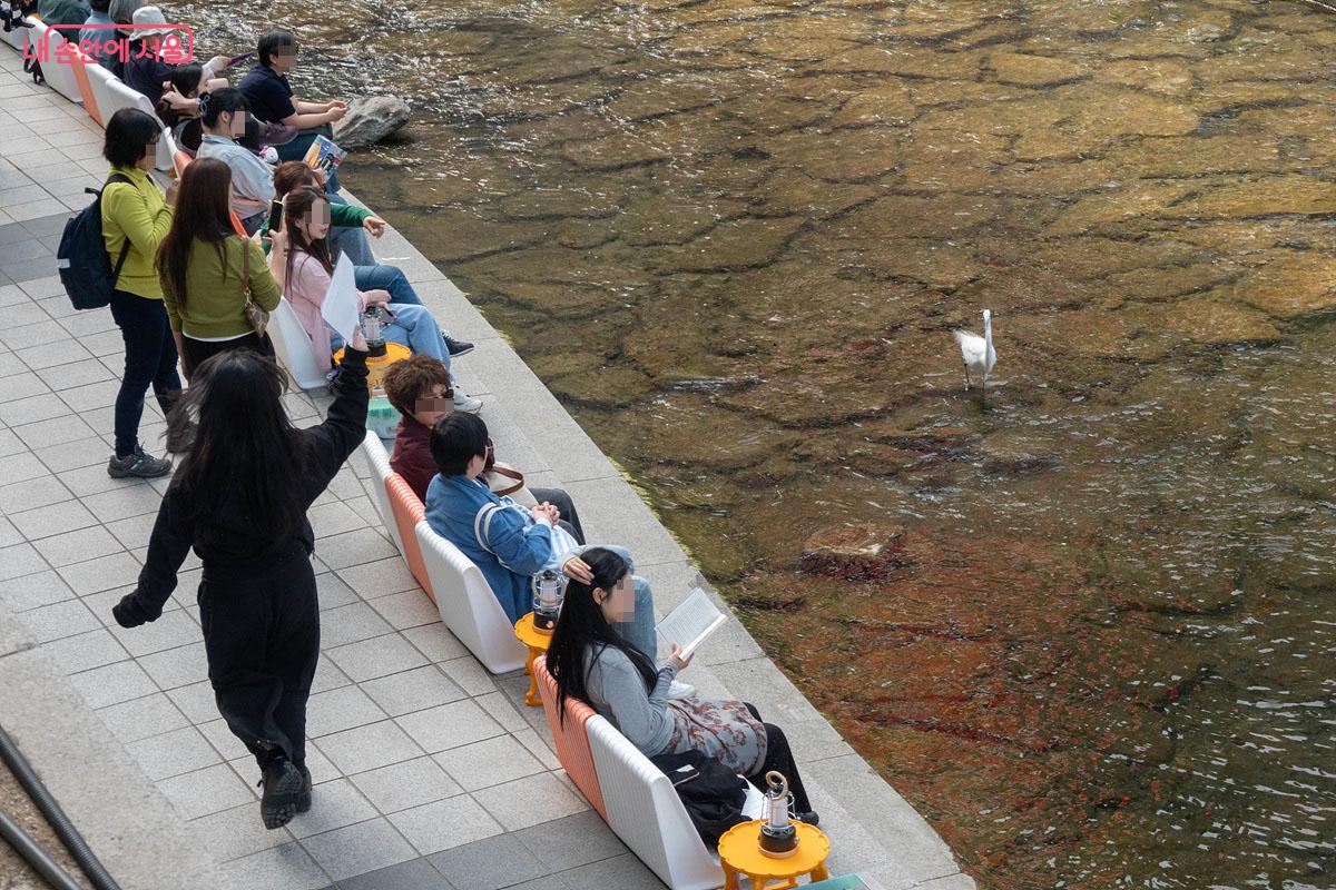 도심 속 청계천 공간에서 시민들이 자유롭게 독서를 즐기다 새를 보고 있다 Ⓒ김인수