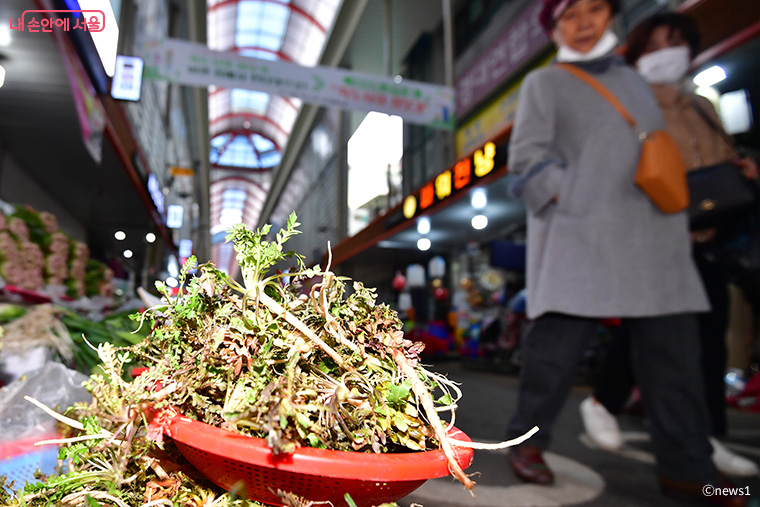 전통시장에 나온 봄나물