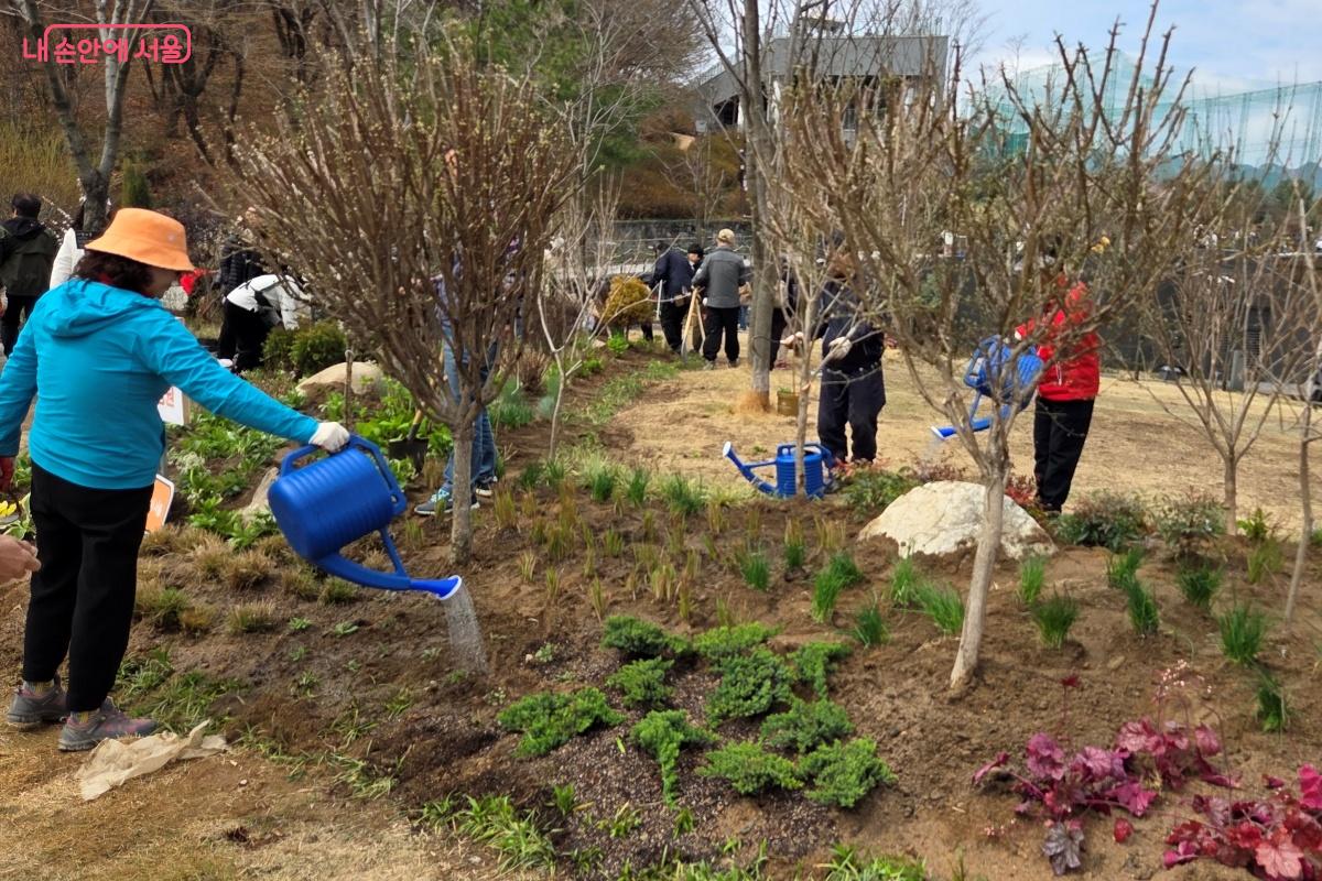 나무 심기 완료 후 물주기를 했다. &copy;김미선