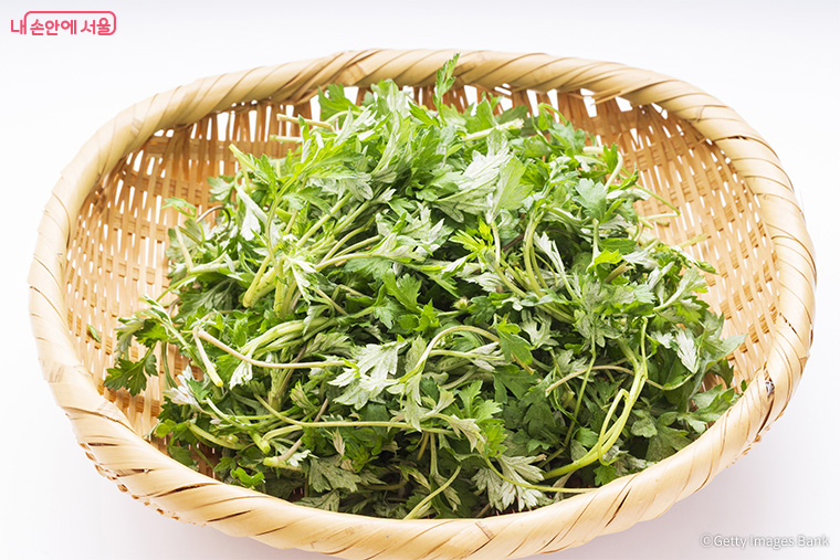 한국에서 흔한 식재료인 쑥