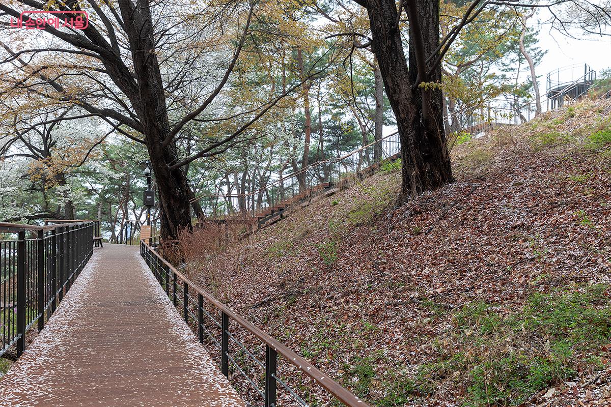 남산이 품은 시간 속을 산책하는 길, 자연의 훼손을 최소화하여 하늘숲길을 조성했다. ⓒ문청야
