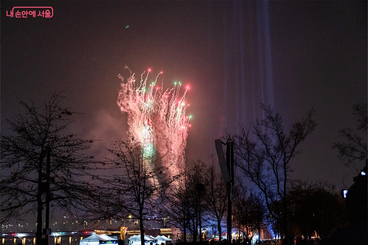 화려한 불꽃으로 밤하늘을 수놓았다. ©장신자