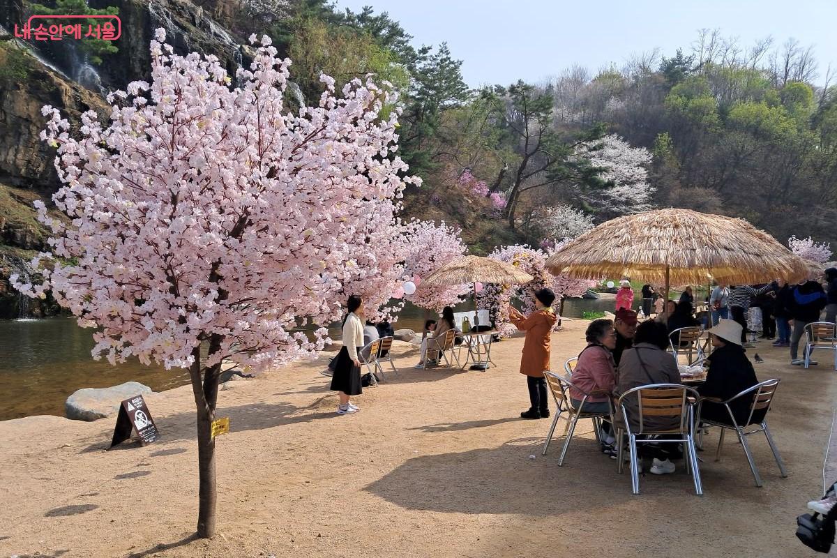 축제를 찾은 시민들이 활짝 핀 벚꽃나무 사이에서 담소를 나누며 휴식을 취하고 있다. ©장형진