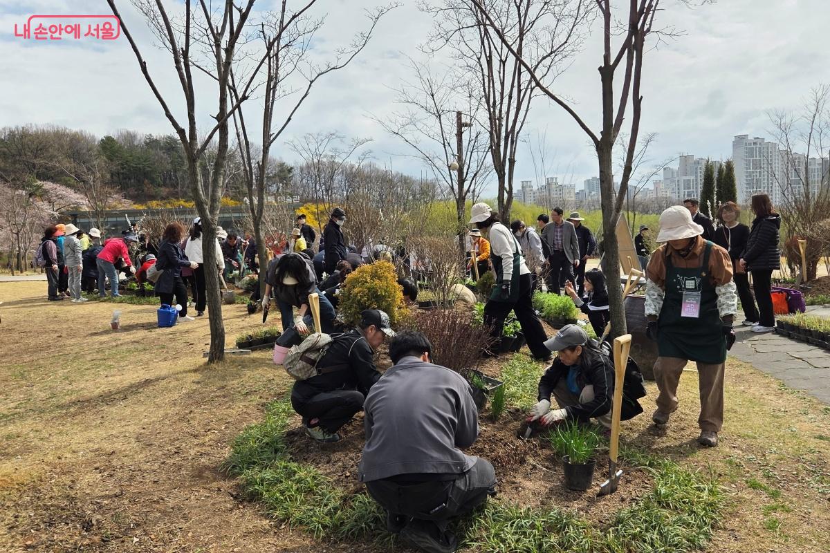 시민들은 나무를 심은 후 손으로 꾹꾹 눌러주었다. &copy;김미선