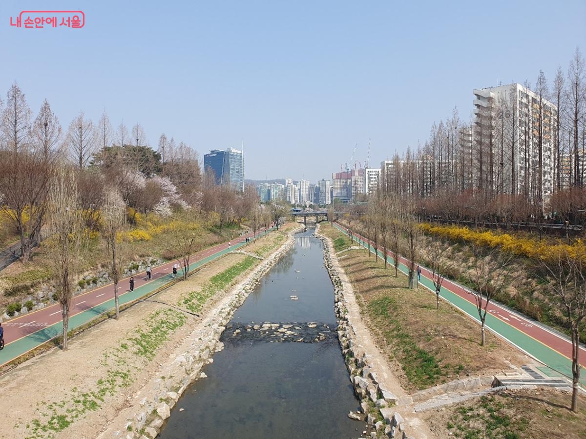 개나리, 벚꽃 등이 어우러진 월드컵천 경관폭포 주변 산책로 ©김병규