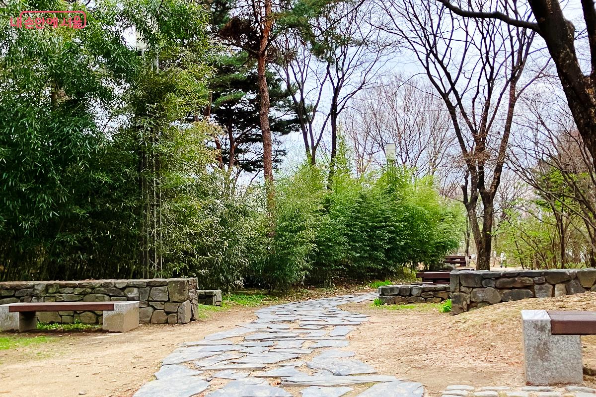 푸른 대나무 숲이 뿜어내는 싱그러움 속 고즈넉한 산책로 ©이란