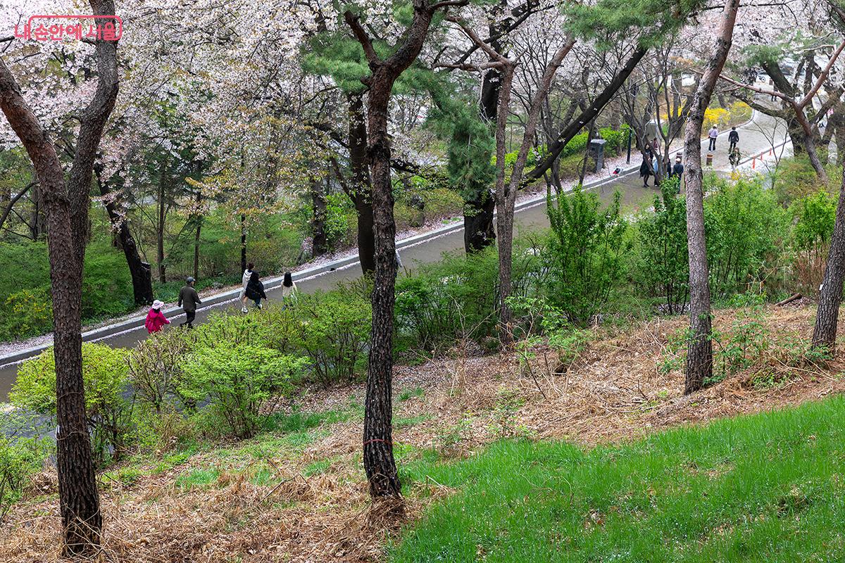테크 길이 끝나면, 순환버스가 다니는 큰 도로로 접어들게 된다. ⓒ문청야