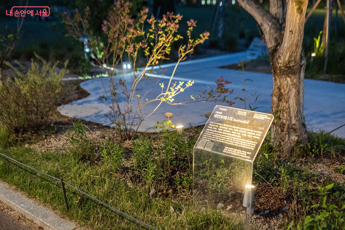 기업정원 두나무의 '세컨포레스트' Ⓒ최승훈