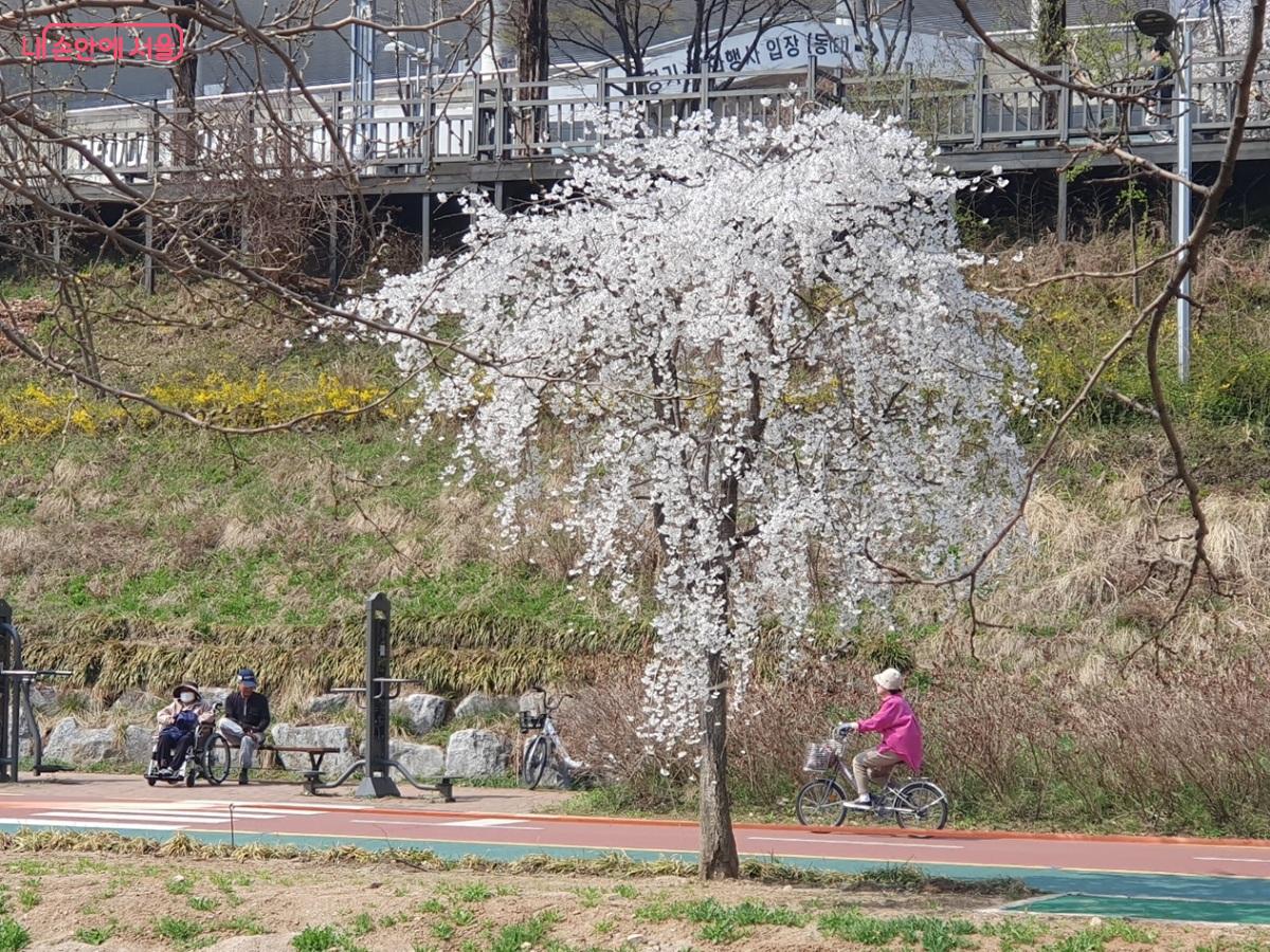 월드컵천 경관폭포 주변 산책로는 러닝, 자전거 라이딩하기에도 좋다. ©김병규