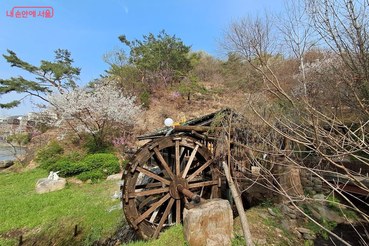 흐드러지게 피어난 벚꽃 아래 정겨운 모습으로 힘차게 돌고 있는 물레방아 ©장형진