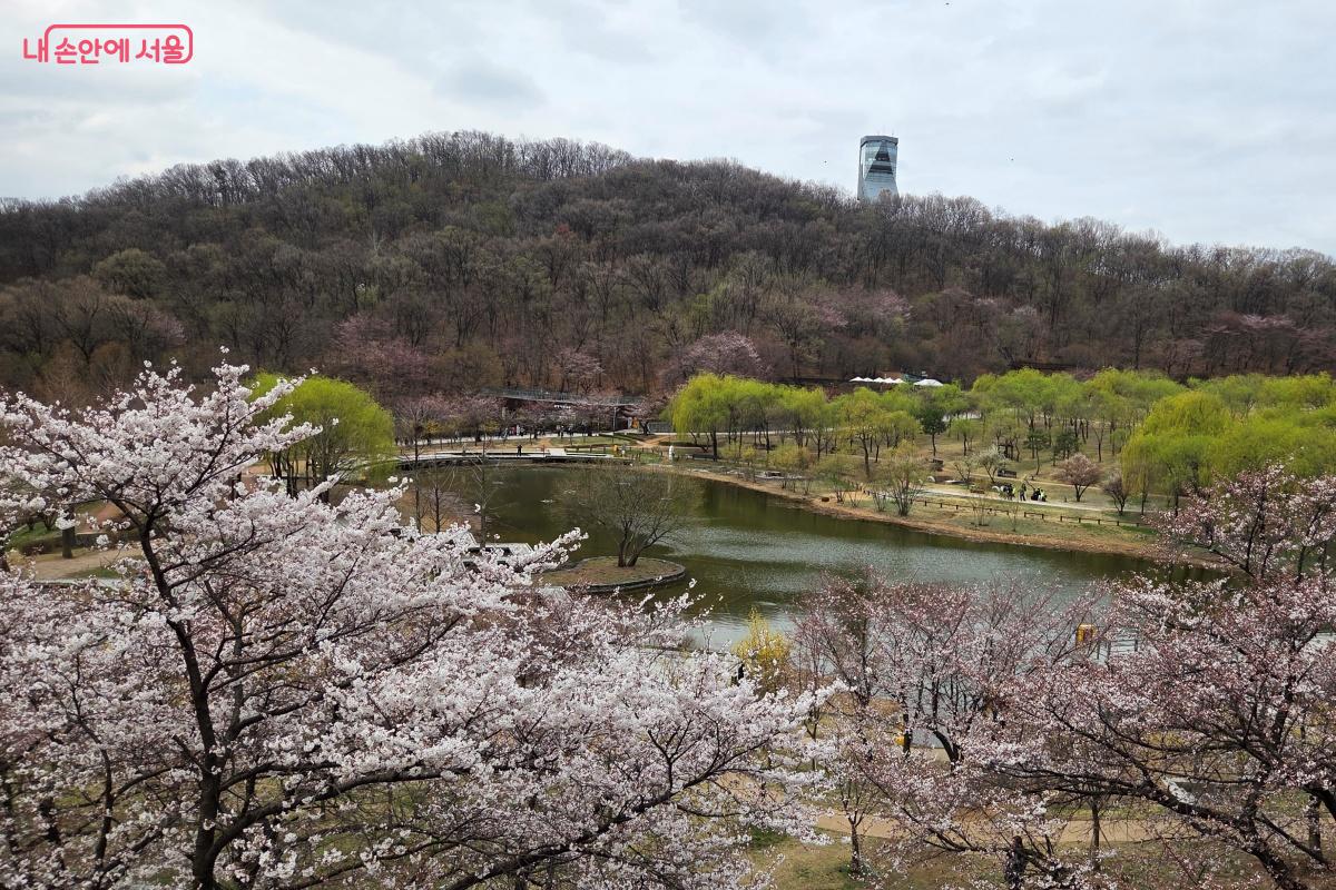 나무계단을 올라 월영지와 북서울꿈의숲 전망대를 바라본다. &copy;김미선