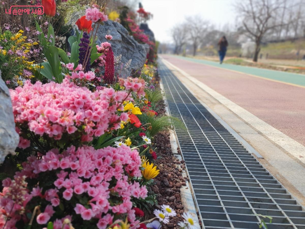 폭포 주변에는 계절 야생화가 심어져 더욱 화사해진 풍경을 만나볼 수 있다. ©김병규