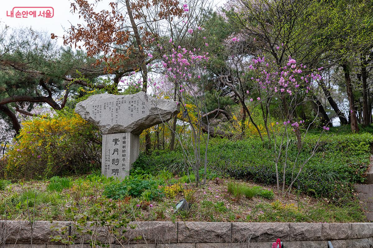 소월정원은 김소월 시비(산유화)가 있는 곳으로, 남산의 풍경과 감성적으로 잘 어우러지는 공간이다. ⓒ문청야