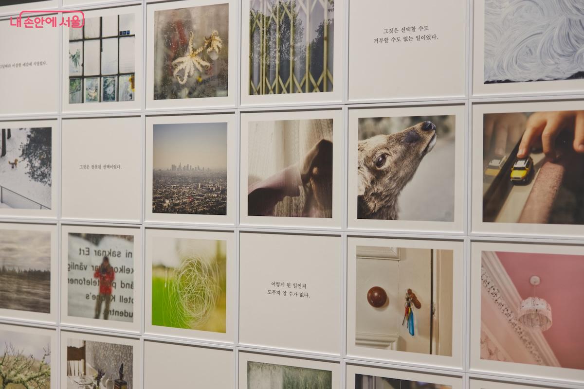 축제라는 이름에 걸맞게 다양한 작가의 많은 사진들을 한꺼번에 감상할 수 있다. &copy;임중빈