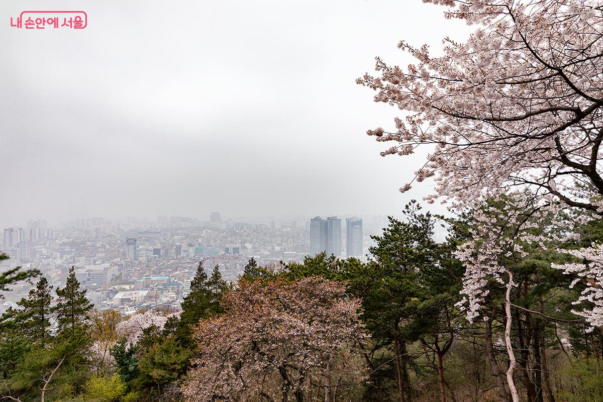 노을 전망대에서 바라본 시내 전경, 하늘이 흐려 선명하게 보이지는 않았다. ⓒ문청야