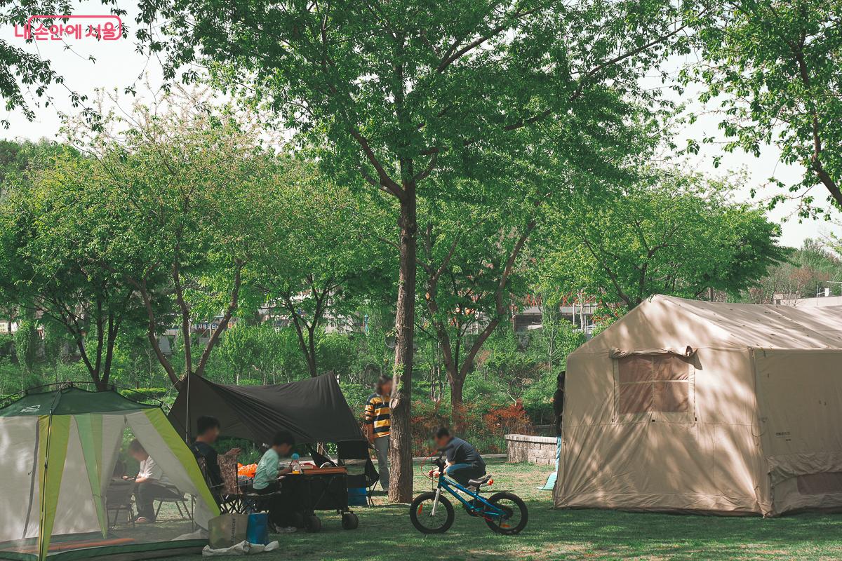 넓은 잔디밭 위 나무 그늘 아래에 다양한 모양의 그늘막 텐트가 설치되어 있고, 시민들이 안에서 휴식을 취하는 풍경 &copy;김성무