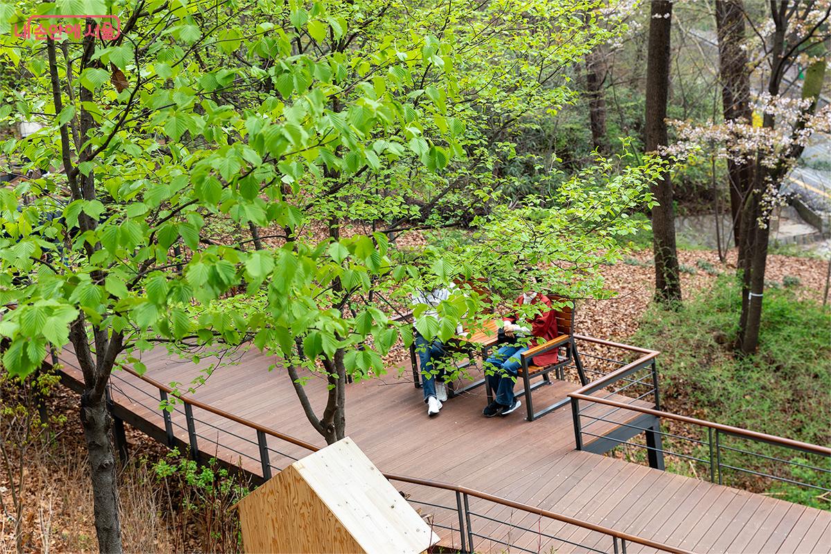 연둣빛으로 막 옷을 갈아입은 숲의 색깔은 그 싱그러움이 온몸을 감싸는 듯했다. ⓒ문청야
