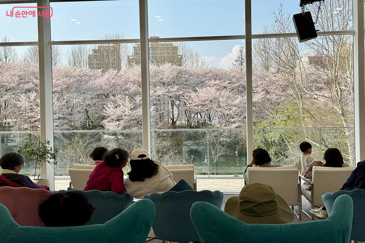 관람객들이 의자에 앉아 양재천수변문화쉼터 1층 통창으로 보이는 벚꽃 풍경을 만끽하고 있다 ©김미정