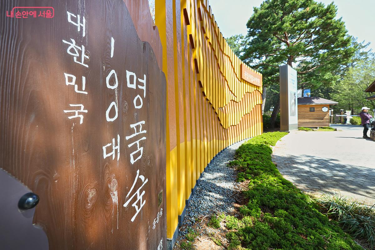 &lsquo;대한민국 100대 명품숲&rsquo;으로 선정된 홍릉숲 &copy;김주연