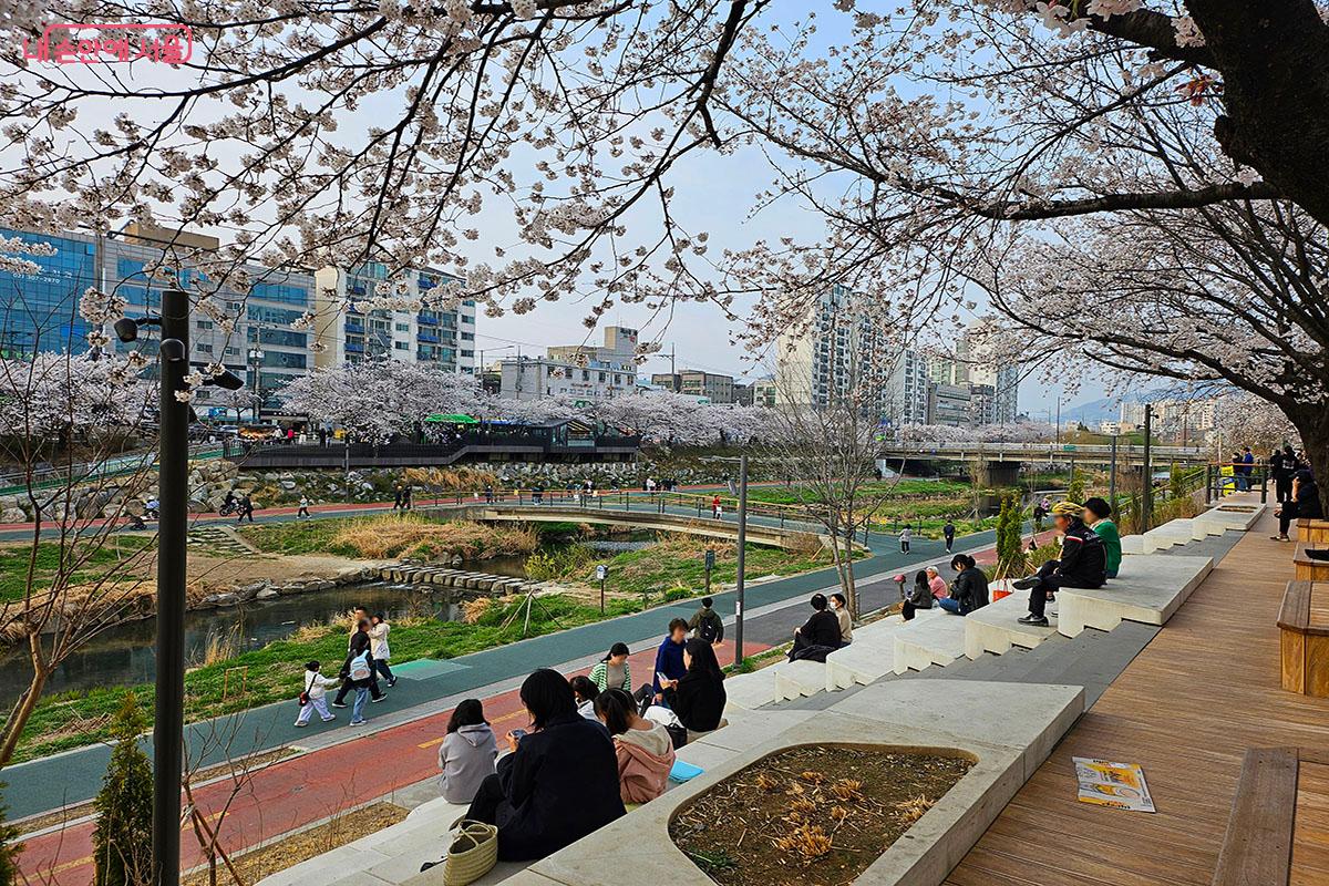 수변쉼터에서 벚꽃을 감상하는 시민들.ⓒ이정민