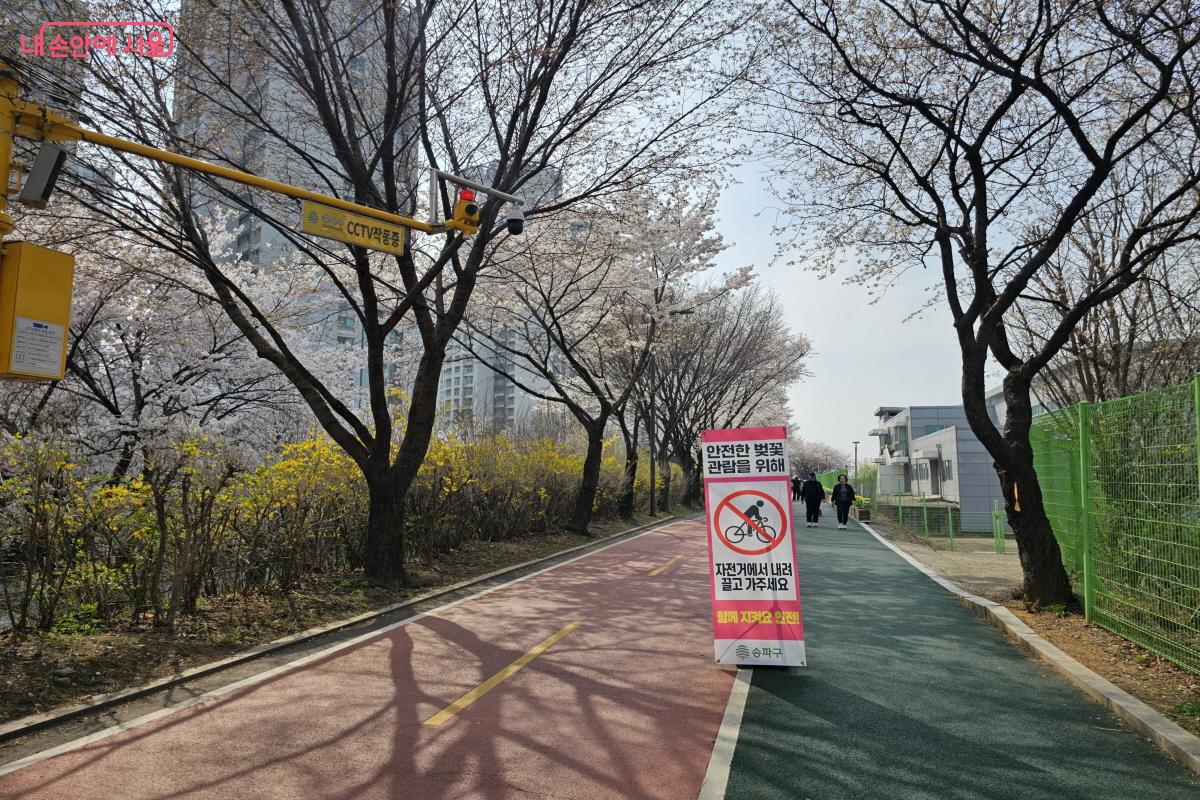 송파둘레길에 '안전한 벚꽃 관람을 위해 자전거에서 내려 끌고 가주세요'란 안내문이 세워져 있다. &copy;염지연