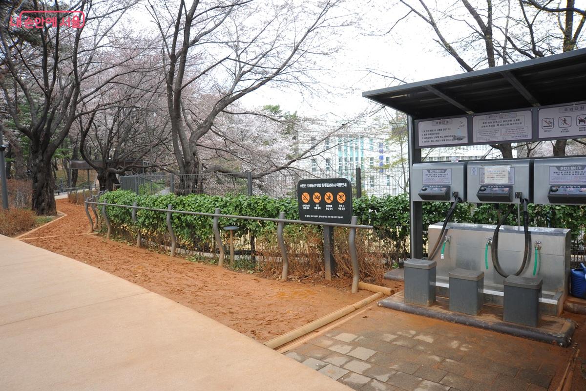 &lsquo;초안산 수국동산&rsquo;의 황토 맨발길 &copy;조수봉