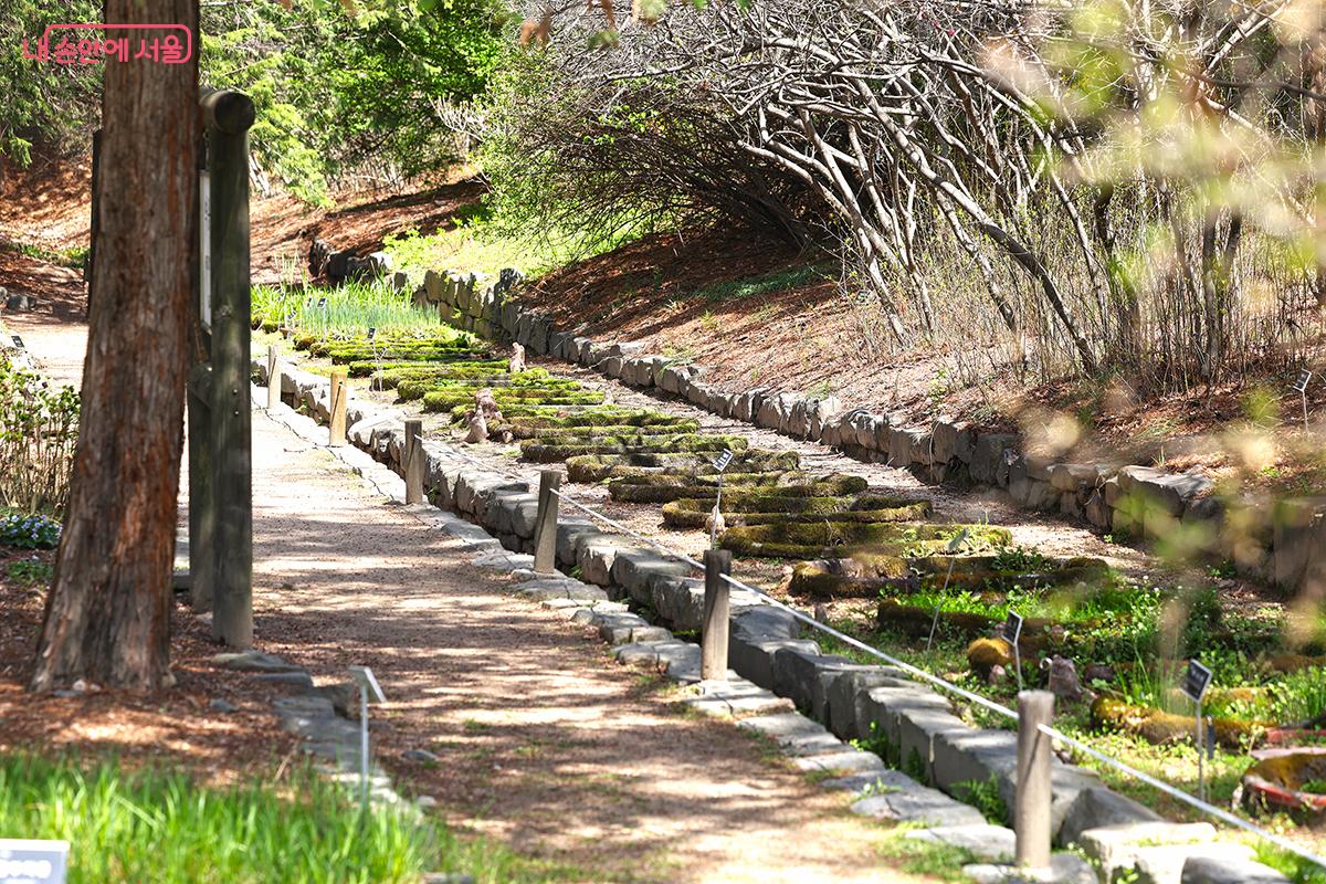 산책 코스의 마지막을 장식하는 약용식물원 &copy;김주연