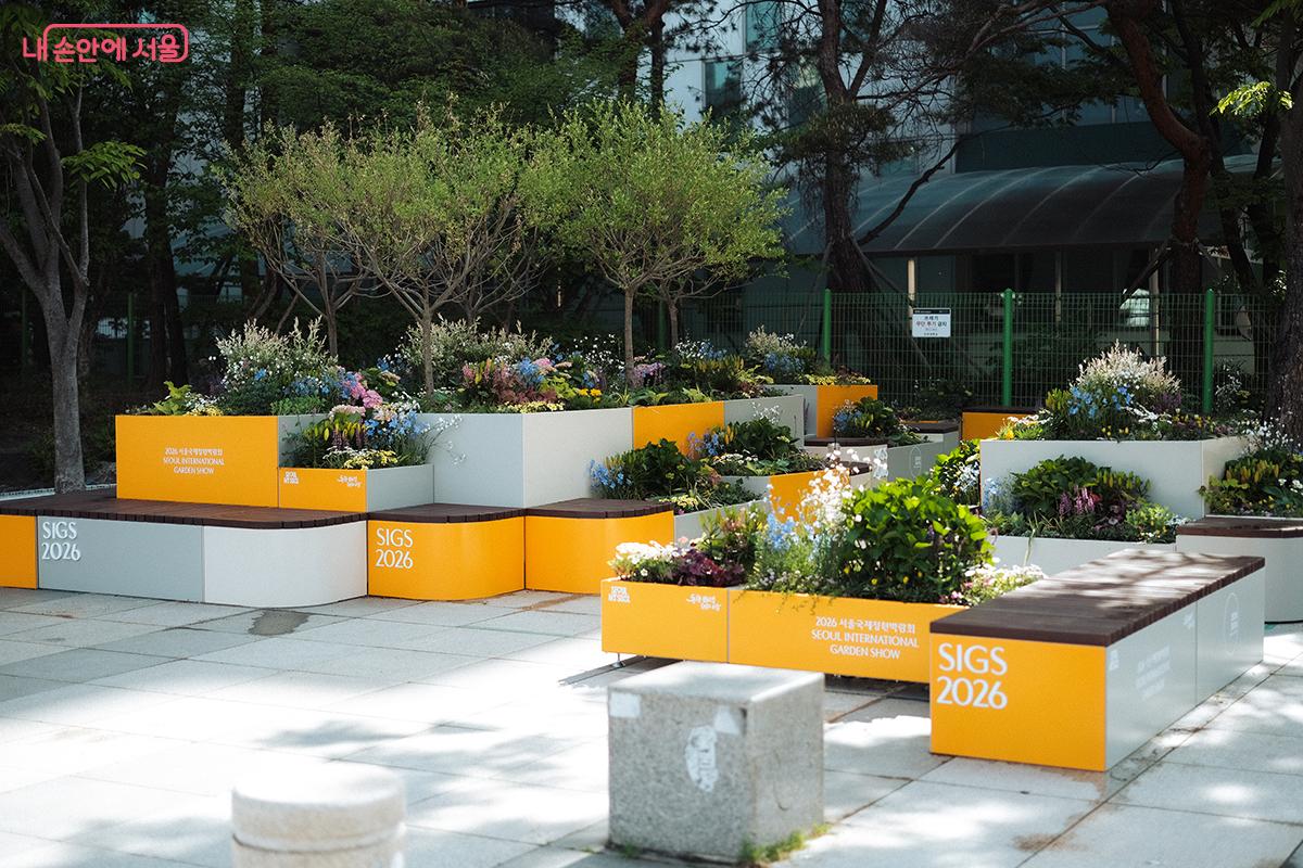 건대 분수광장에 조성된 '윤슬의 숲 정원 (Open Scenery Garden)' (윤영주 작가). 특히 건국대학교 출입구로 이어지는 모듈정원의 꽃들이 무척 아름답다. ©김아름