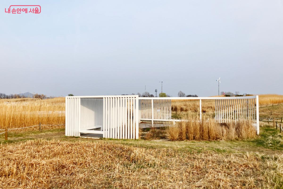 억새밭 한가운데 자리한 모던한 감각의 하얀색 야외 쉼터 ©이란