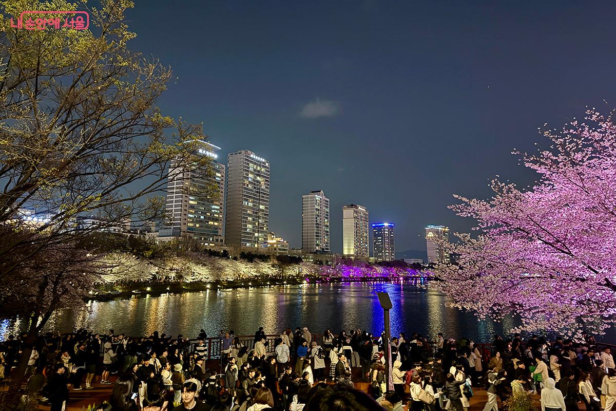 벚꽃 시즌, 발 디딜 틈 없이 붐비는 석촌호수 둘레길 ©김미정