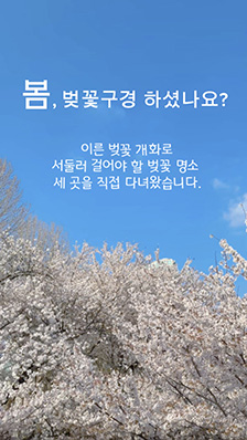 벚꽃 구경 하셨나요? 서둘러 걸어봐야 할 '벚꽃 명소' 세 곳 소개