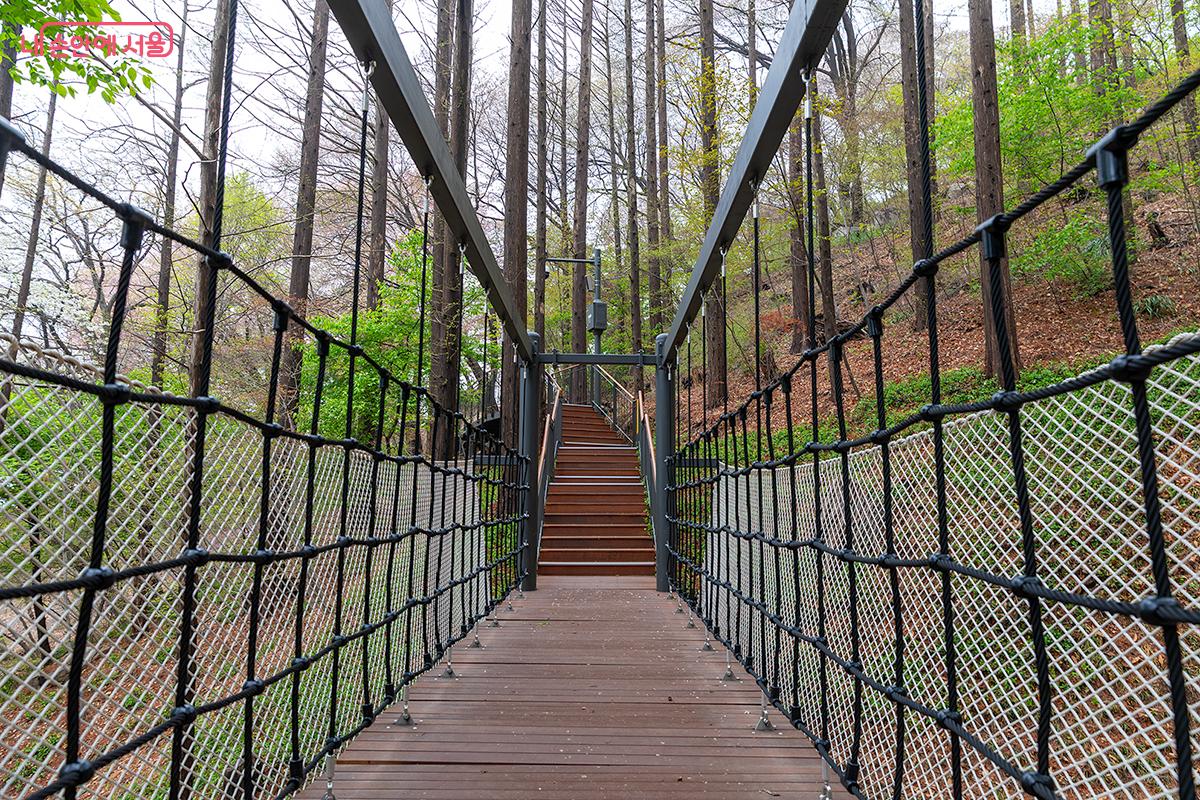 모험전망다리는 아주 짧은 흔들다리였다. ‘모험’이라는 이름이 과했지만, 지나가는 동안 재미있었다. ⓒ문청야