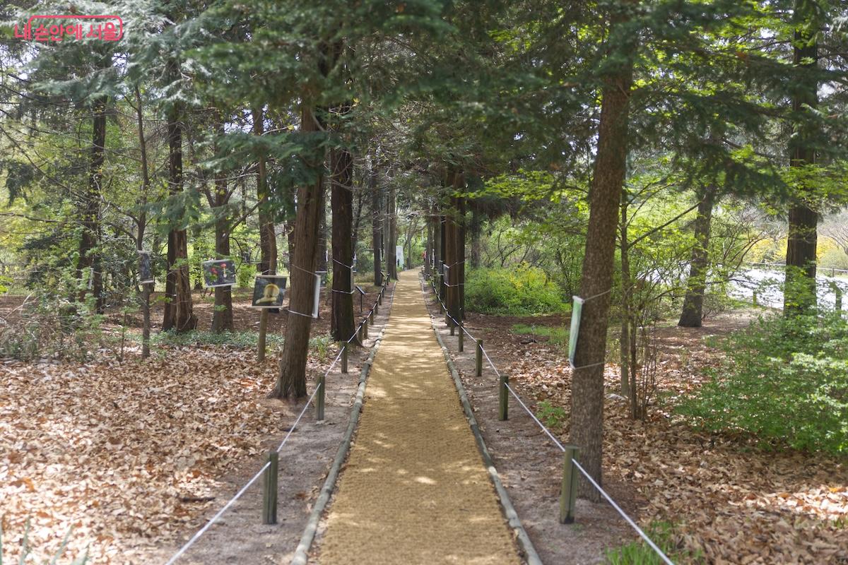 홍릉숲 내 예쁜 산책로를 걸으며 봄기운을 듬뿍 느껴보자