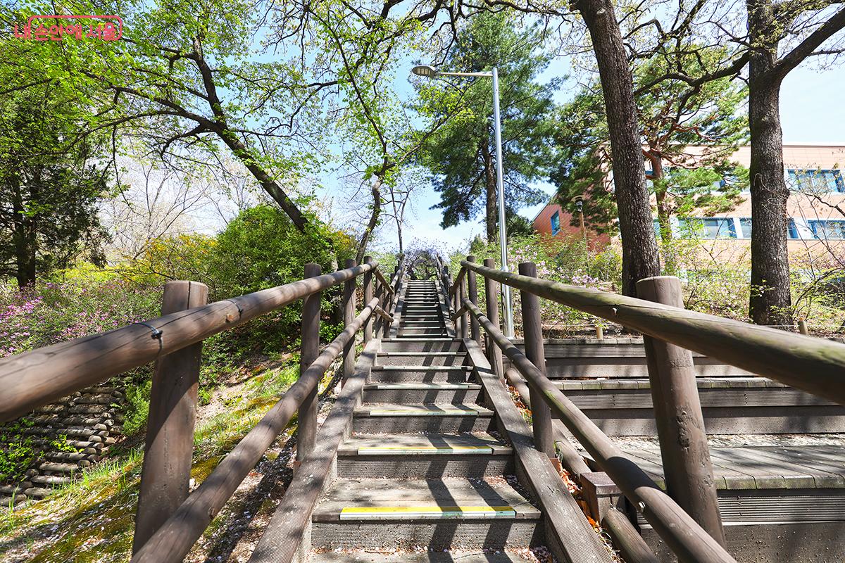 완연한 봄이 시작된 홍릉숲길 &copy;김주연