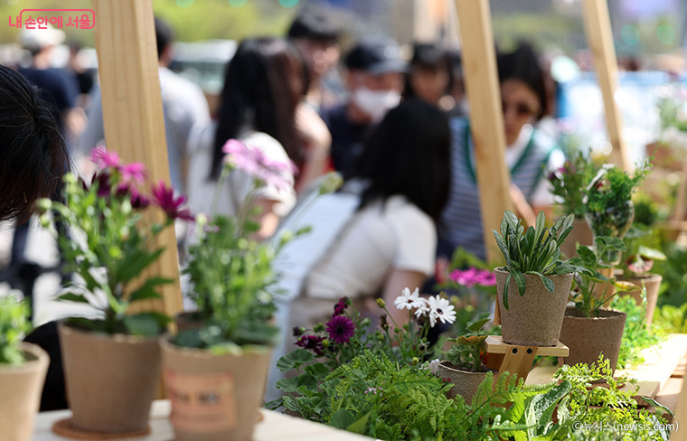 18일 오전 11시부터 재활용품을 가져온 선착순 1,000명에게 화분을 제공하는 &lsquo;봄꽃 교환소&rsquo;도 운영한다. 