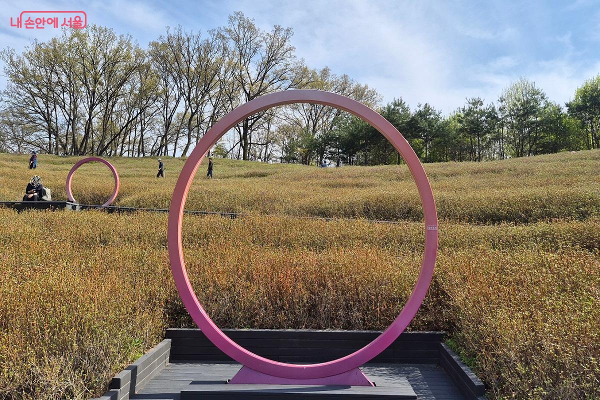 4월이면 더 화려해 지는 철쭉동산 