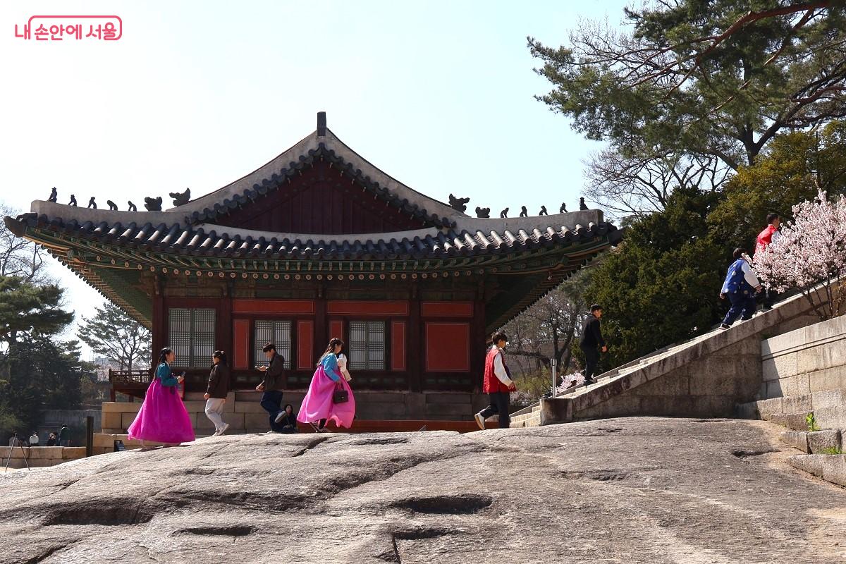 양화당 옆, 분홍 매화 아래 한복 차림 시민들이 봄날을 즐긴다. &copy;이봉덕