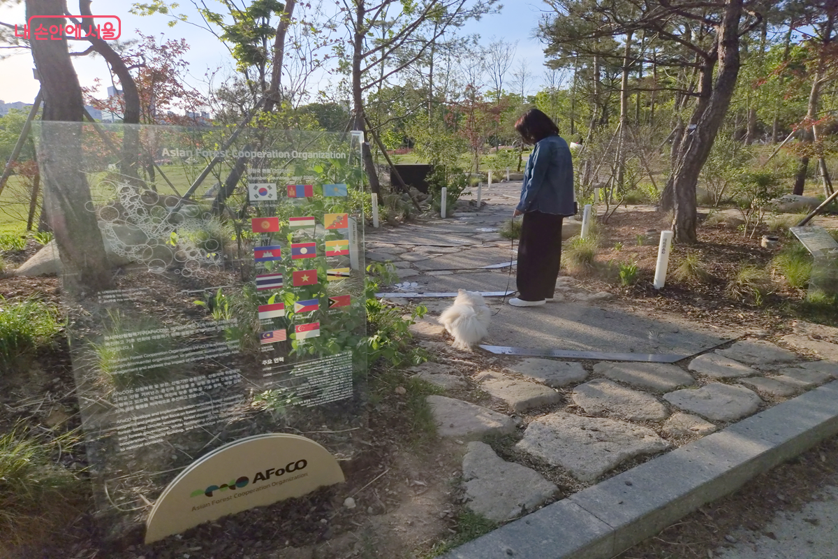 서울국제정원박람회 이후 조성된 국제 협력 정원에서 시민이 산책을 즐기고 있다