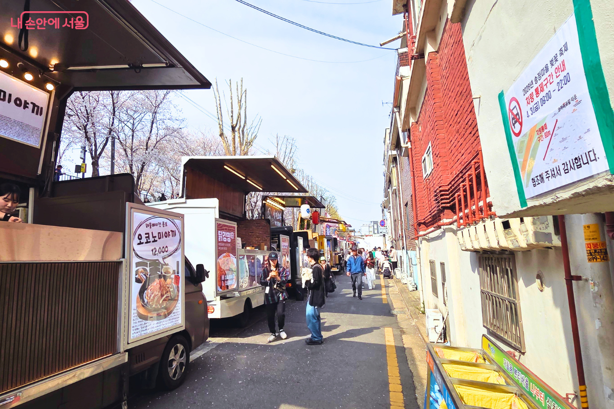 붉은 벽돌 건물과 흰 건물이 마주 보는 좁은 골목길에 축제용 푸드트럭들이 일렬로 배치되어 있다. 가장 가까운 트럭에는 '오코노미야끼 12,000원' 메뉴판이 붙어 있고, 그 뒤로 닭강정 등을 판매하는 트럭들이 이어진다. 오른쪽 벽면에는 '2026년 송정마을 벚꽃축제 차량 통제구간 안내' 현수막이 붙어 있으며, 골목 끝으로 벚꽃이 핀 제방의 모습이 보인다.