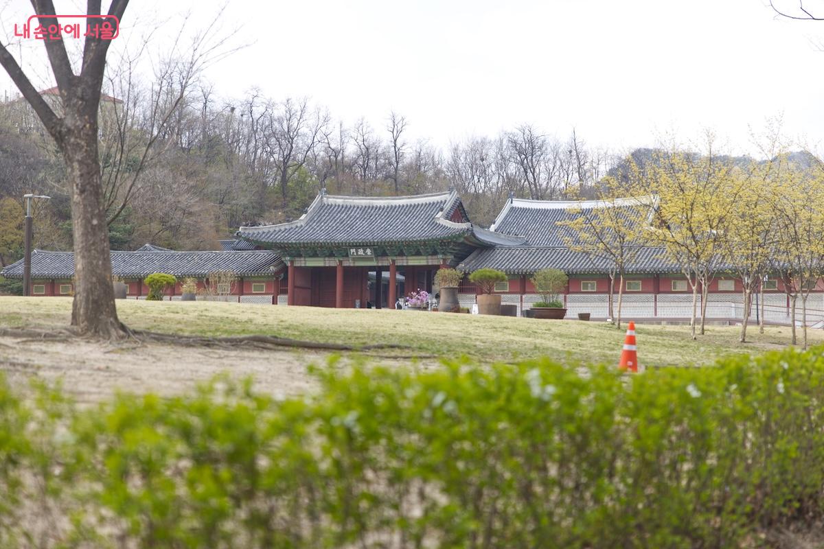 경희궁 주변도 진달래와 봄꽃들이 많이 피어 있어 나들이 하기에 제격이다. &copy;서지희