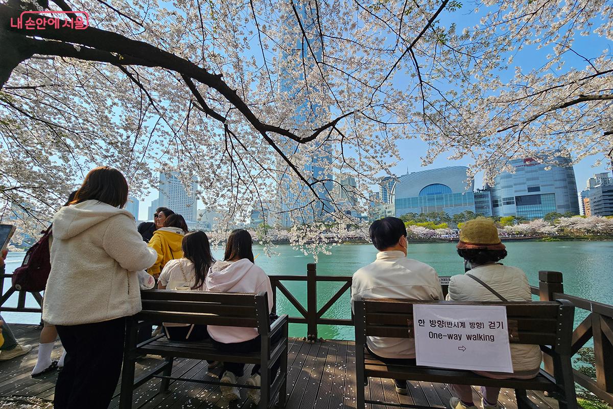 바람이 스칠 때마다 흩날리며 떨어지는 꽃잎의 모습은 한 편의 영화 같다. ©이혜숙