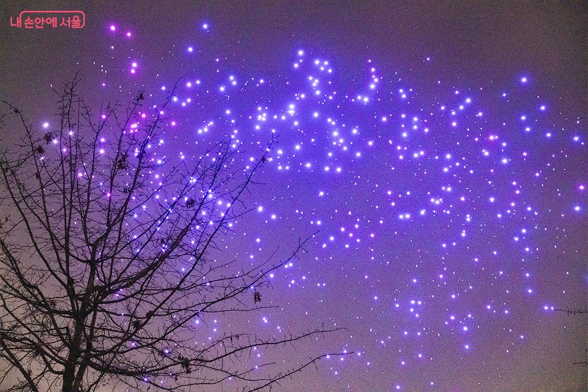 한강의 밤하늘을 거대한 캔버스처럼 활용하며 다양한 형상을 그려냈다. ©장신자