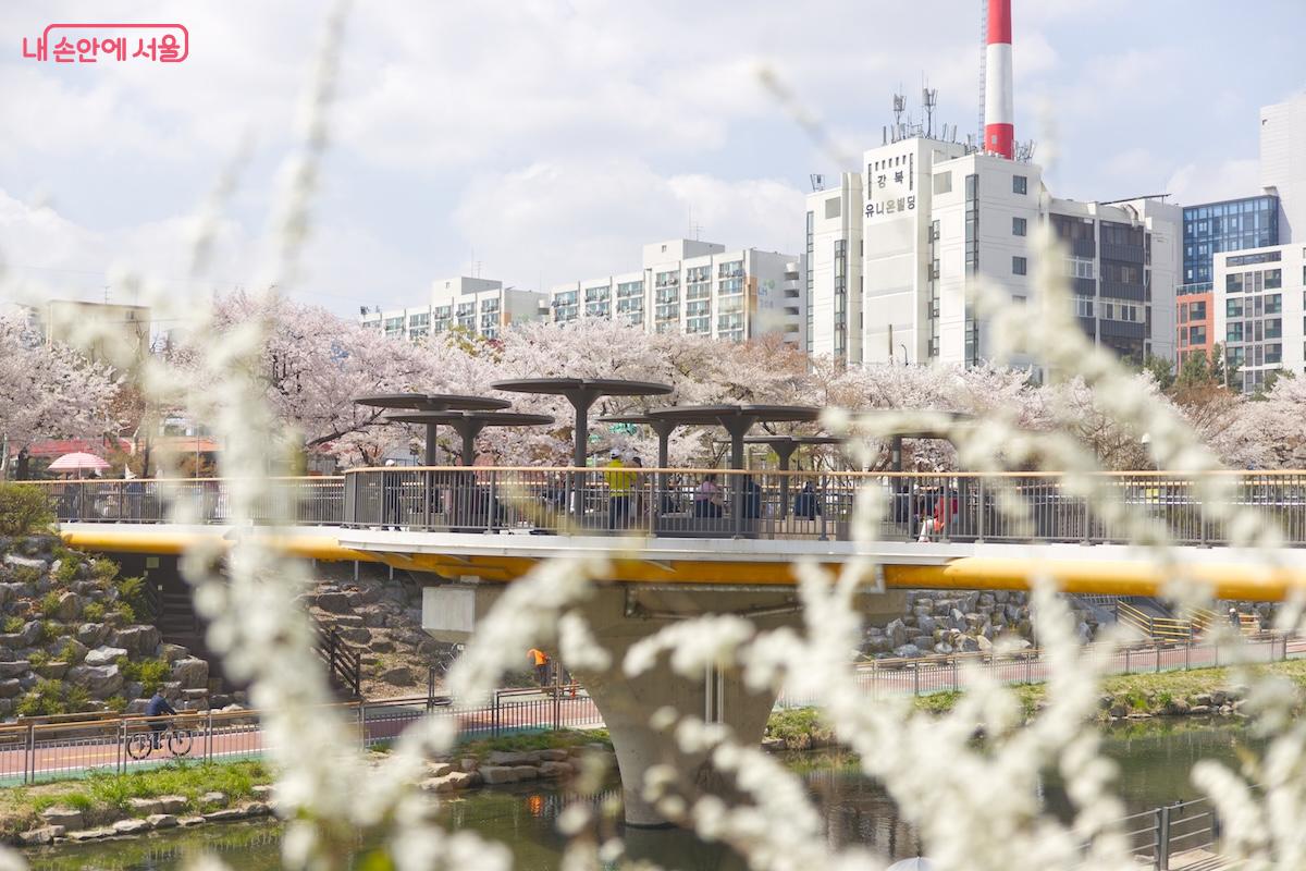 최근 새롭게 탄생한 노원우이마루 복합문화공간에서 바라본 벌리교 방면